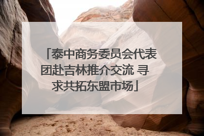 泰中商务委员会代表团赴吉林推介交流 寻求共拓东盟市场
