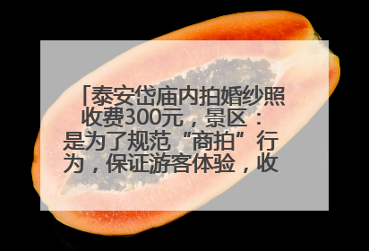 泰安岱庙内拍婚纱照收费300元，景区：是为了规范“商拍”行为，保证游客体验，收取费用全部上交国库