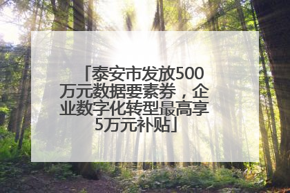 泰安市发放500万元数据要素券，企业数字化转型最高享5万元补贴