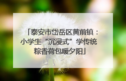 泰安市岱岳区黄前镇：小学生“沉浸式”学传统 粽香荷包暖夕阳