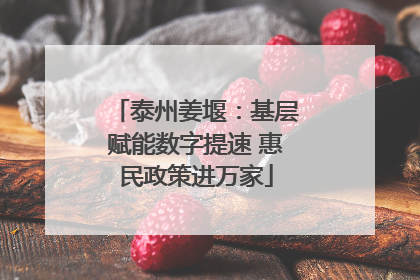 泰州姜堰：基层赋能数字提速 惠民政策进万家