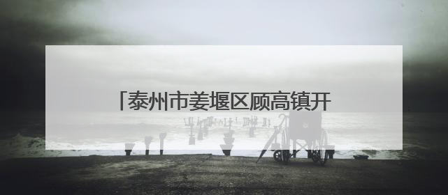 泰州市姜堰区顾高镇开展“e路同行 清朗有我”网络辟谣宣传活动