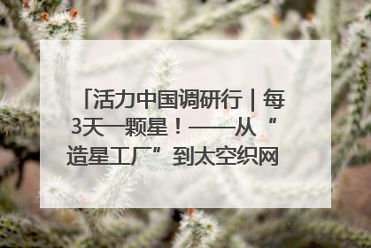 活力中国调研行｜每3天一颗星！——从“造星工厂”到太空织网的“银河速度”
