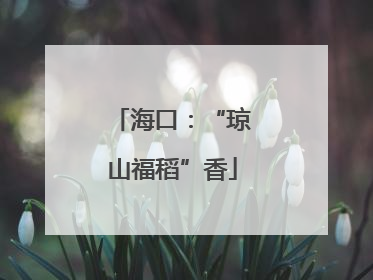 海口：“琼山福稻”香