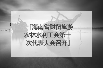 海南省财贸旅游农林水利工会第一次代表大会召开
