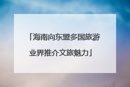 海南向东盟多国旅游业界推介文旅魅力