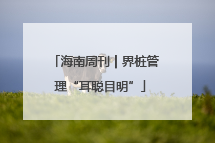 海南周刊｜界桩管理“耳聪目明”