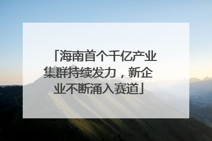 海南首个千亿产业集群持续发力，新企业不断涌入赛道