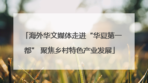 海外华文媒体走进“华夏第一都” 聚焦乡村特色产业发展