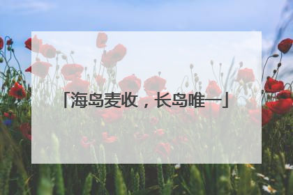海岛麦收，长岛唯一