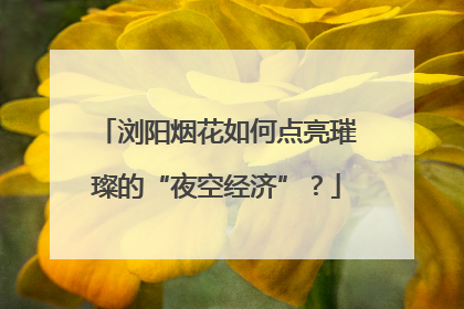 浏阳烟花如何点亮璀璨的“夜空经济”？