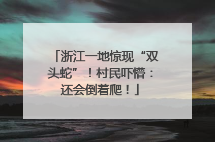 浙江一地惊现“双头蛇”！村民吓懵：还会倒着爬！