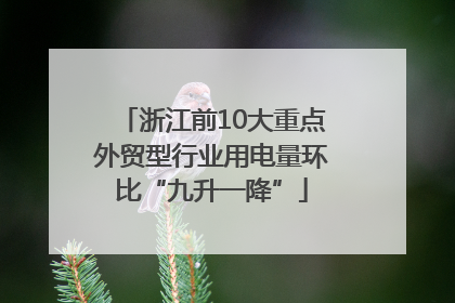 浙江前10大重点外贸型行业用电量环比“九升一降”