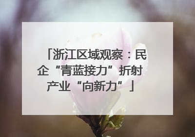 浙江区域观察：民企“青蓝接力”折射产业“向新力”