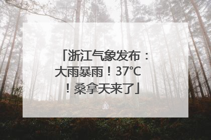 浙江气象发布：大雨暴雨！37℃！桑拿天来了