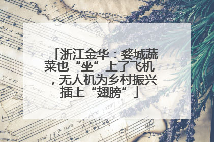 浙江金华：婺城蔬菜也“坐”上了飞机，无人机为乡村振兴插上“翅膀”