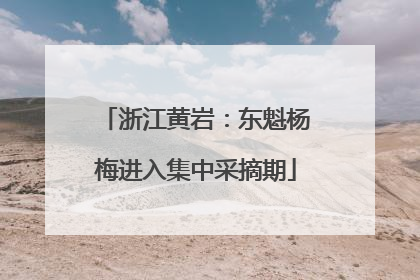 浙江黄岩：东魁杨梅进入集中采摘期