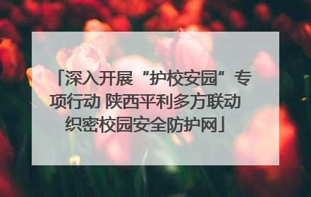深入开展“护校安园”专项行动 陕西平利多方联动织密校园安全防护网