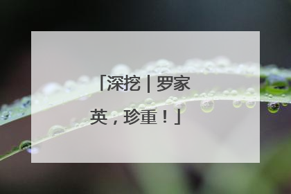 深挖｜罗家英，珍重！