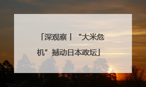 深观察丨“大米危机”撼动日本政坛