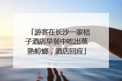 游客在长沙一家桔子酒店早餐中吃出蒸熟蟑螂，酒店回应
