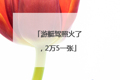 游艇驾照火了，2万5一张