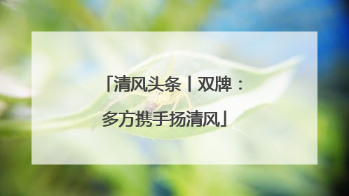 清风头条丨双牌：多方携手扬清风