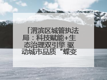 渭滨区城管执法局：科技赋能+生态治理双引擎 驱动城市品质“蝶变跃升”