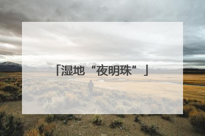 湿地“夜明珠”