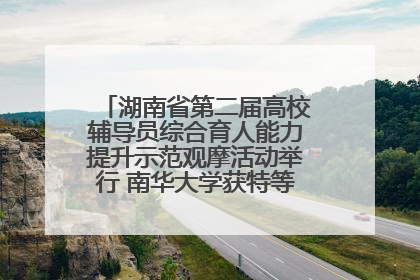 湖南省第二届高校辅导员综合育人能力提升示范观摩活动举行 南华大学获特等奖和一等奖