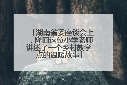 湖南省委座谈会上，隆回这位小学老师讲述了一个乡村教学点的温暖故事