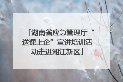 湖南省应急管理厅“送课上企”宣讲培训活动走进湘江新区