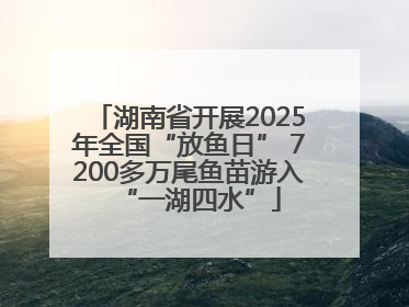 湖南省开展2025年全国“放鱼日” 7200多万尾鱼苗游入“一湖四水”