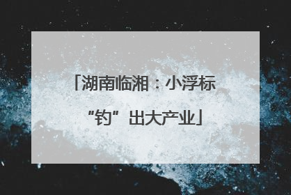 湖南临湘：小浮标“钓”出大产业