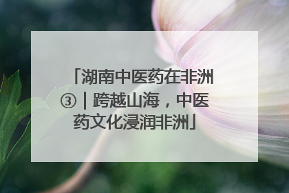 湖南中医药在非洲③｜跨越山海，中医药文化浸润非洲