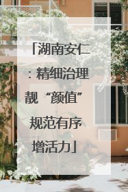 湖南安仁：精细治理靓“颜值” 规范有序增活力