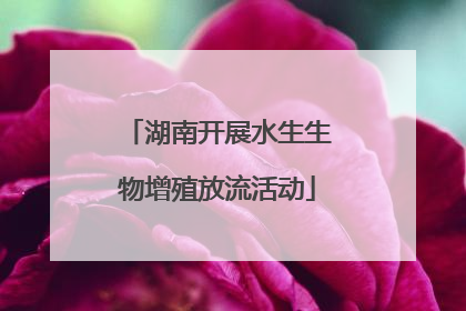 湖南开展水生生物增殖放流活动