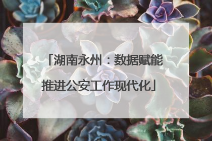 湖南永州：数据赋能推进公安工作现代化