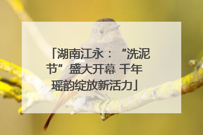 湖南江永：“洗泥节”盛大开幕 千年瑶韵绽放新活力