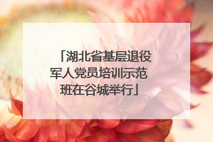 湖北省基层退役军人党员培训示范班在谷城举行