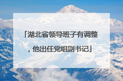 湖北省领导班子有调整，他出任党组副书记