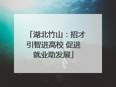 湖北竹山：招才引智进高校 促进就业助发展