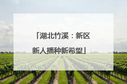 湖北竹溪：新区新人播种新希望