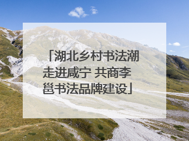湖北乡村书法潮走进咸宁 共商李邕书法品牌建设