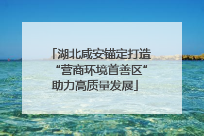 湖北咸安锚定打造“营商环境首善区”助力高质量发展