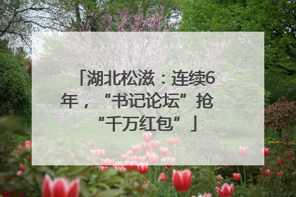 湖北松滋：连续6年，“书记论坛”抢“千万红包”