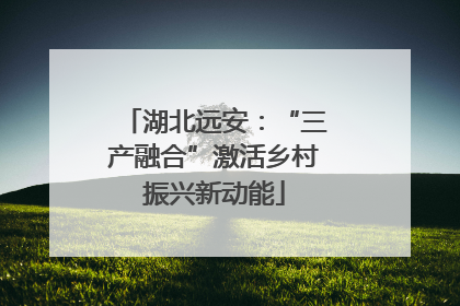 湖北远安：“三产融合”激活乡村振兴新动能