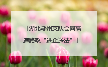 湖北鄂州支队会同高速路政“进企送法”