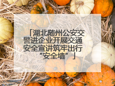 湖北随州公安交警进企业开展交通安全宣讲筑牢出行“安全墙”