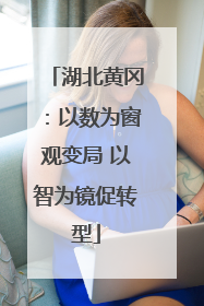 湖北黄冈：以数为窗观变局 以智为镜促转型